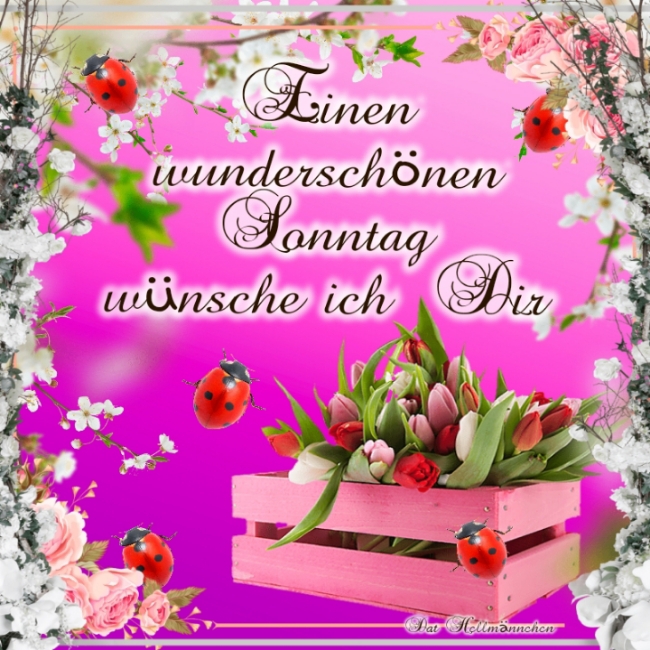 Sonntag