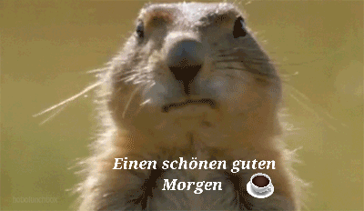 Guten Morgen
