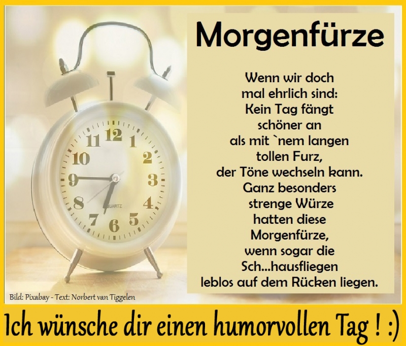 Morgenfürze