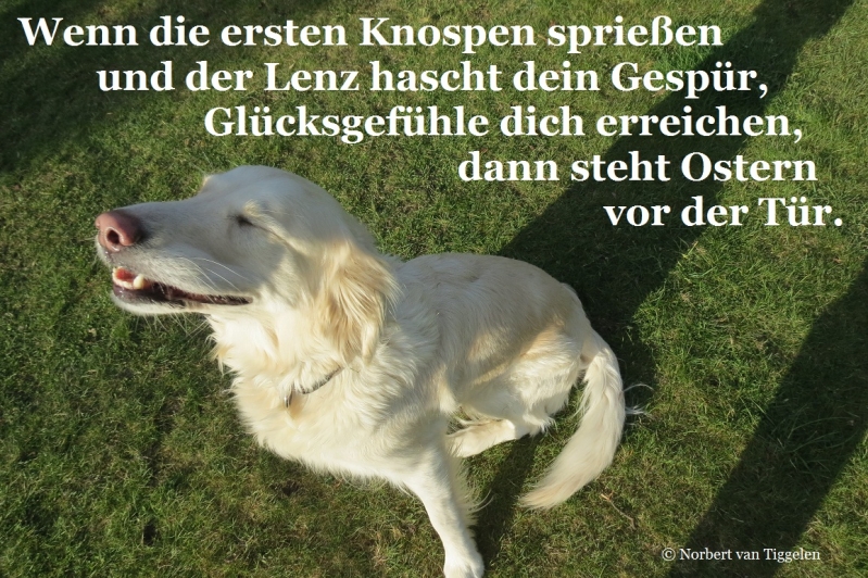 Osterglücksgefühle