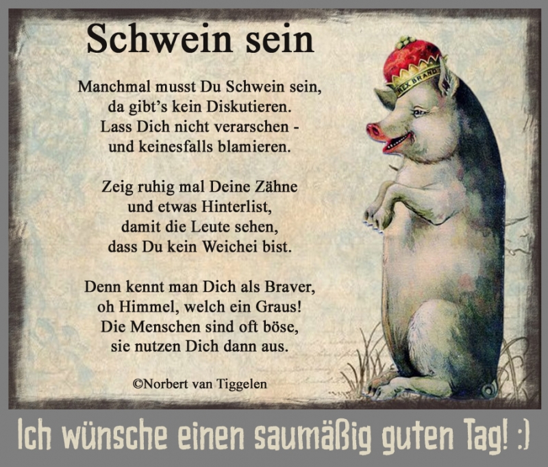 Schwein sein